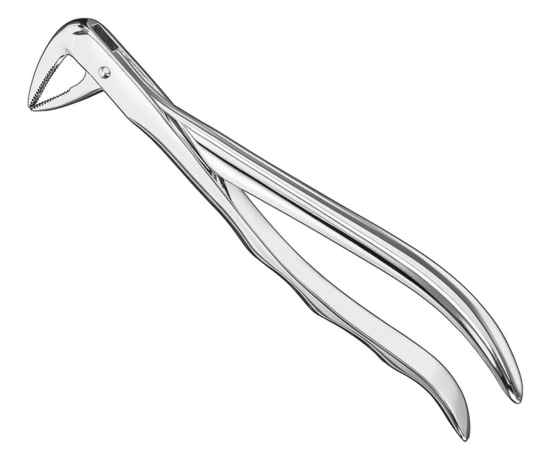 Extracting forceps, anat. Manufacturers, Exporters, Sialkot, Pakistan