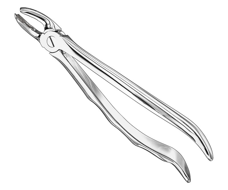 Extracting Forceps Anatomically Shaped Handle Standard