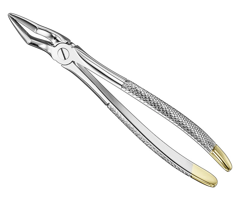 Extracting forceps, engl. Manufacturers, Exporters, Sialkot, Pakistan