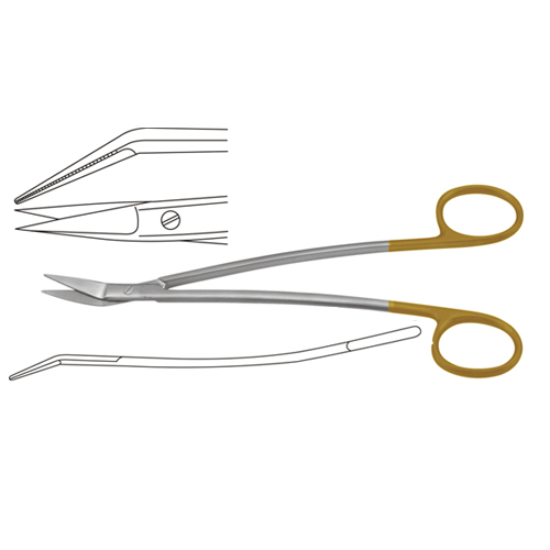 TC Dean Gum Scissor Manufacturers, Exporters, Sialkot, Pakistan