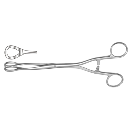 Sponge Holding Forcep Manufacturers, Exporters, Sialkot, Pakistan