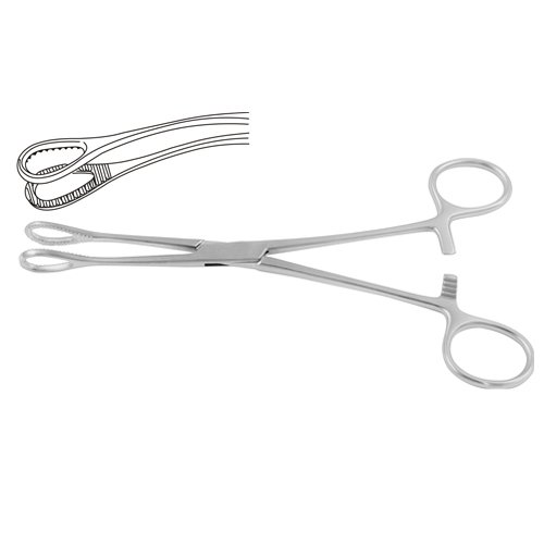 Sponge Holding and Sinus Forceps